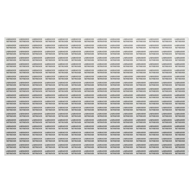 labrador retriever fabric (Yard)