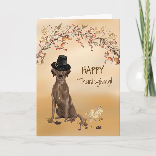 Labrador Retriever Funny Pilgrim Hat Thanksgiving Card (Front)
