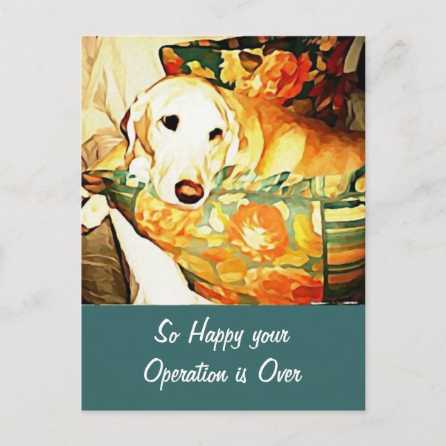 Labrador Retriever Get Well Postcard (Front)