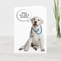 Labrador Retriever Get Well Soon