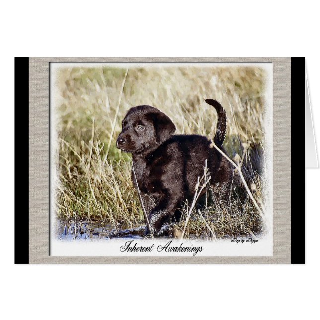 Labrador Retriever Gifts (Front Horizontal)
