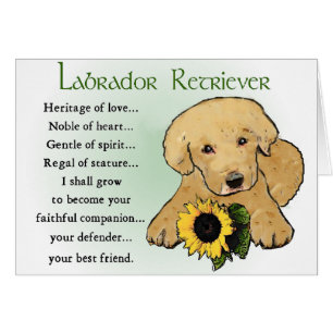 Labrador Retriever Gifts