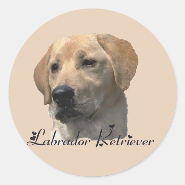 Labrador Retriever Gifts Classic Round Sticker (Front)