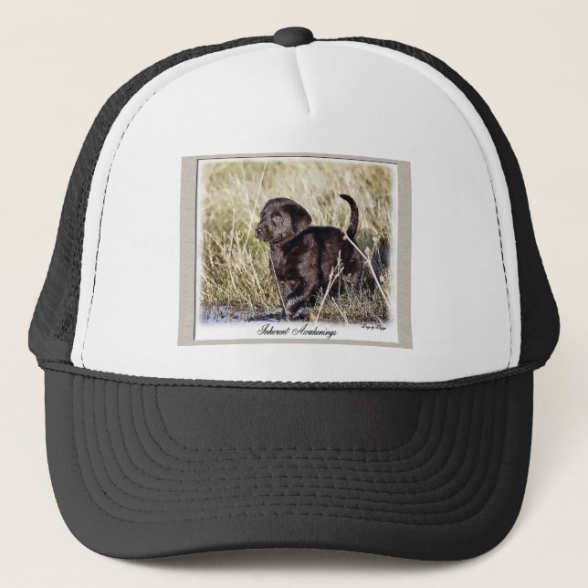 Labrador Retriever Gifts Trucker Hat (Front)