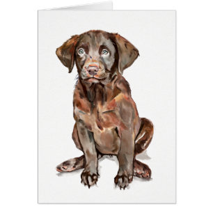 Labrador Retriever Greeting Card