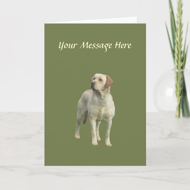 Labrador Retriever Greeting Card (Front)