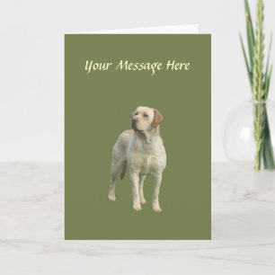 Labrador Retriever Greeting Card