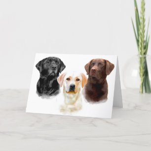 Labrador Retriever Greeting Cards