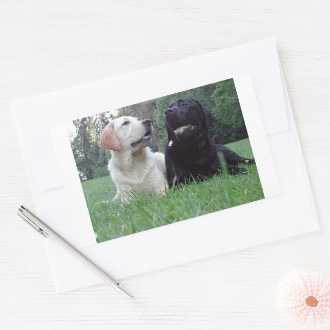 labrador retriever group sticker (Envelope)