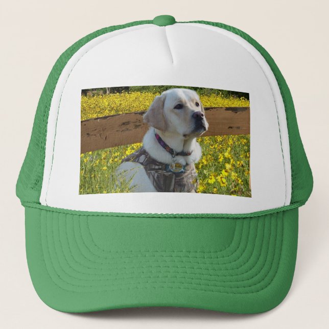 Labrador Retriever Hat In The Field (Front)