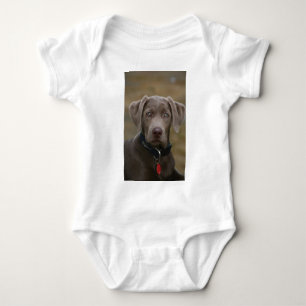 Labrador Retriever In Rare Light Silver Baby Bodysuit