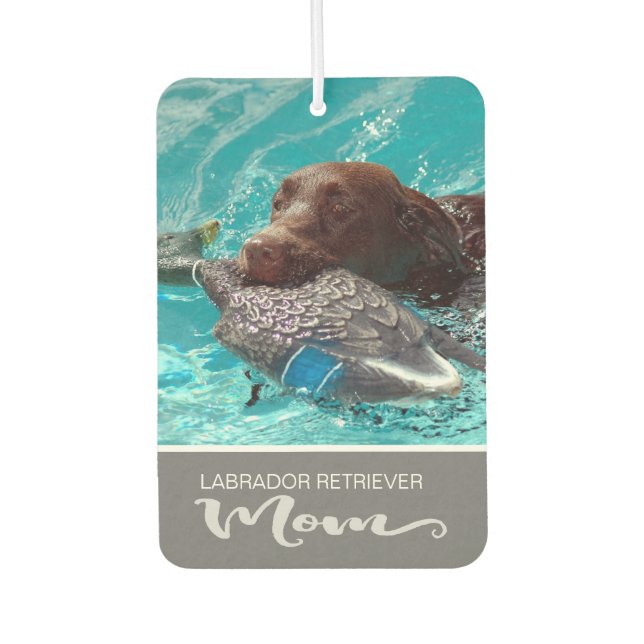 Labrador Retriever Insert Your Dog's Picture Air Freshener (Front)