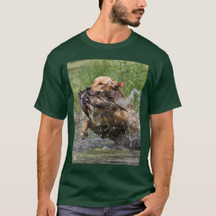 Labrador retriever jaune avec le T-shirt de canard
