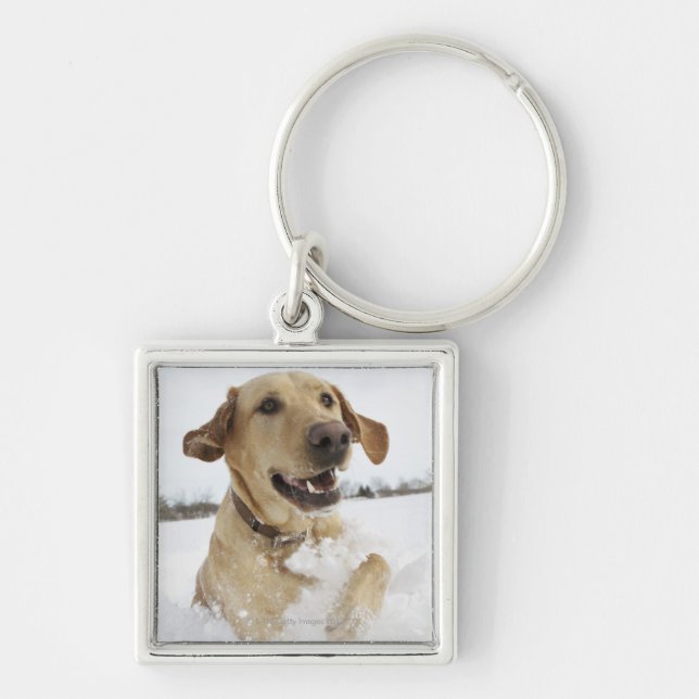 Labrador retriever jumping through deep snow keychain (Front)