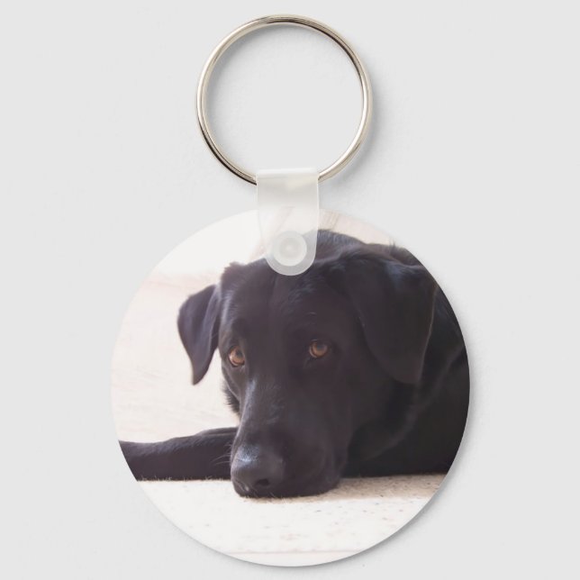 labrador retriever keychain (Front)
