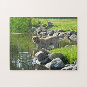Labrador Retriever Lake Rocks Jigsaw Puzzle