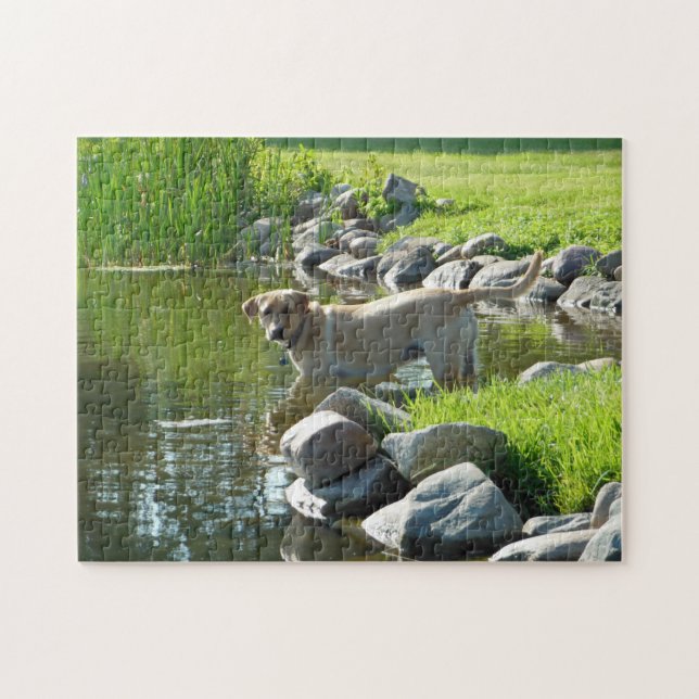 Labrador Retriever Lake Rocks Jigsaw Puzzle (Horizontal)