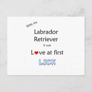 Labrador Retriever Lick Design Postcard