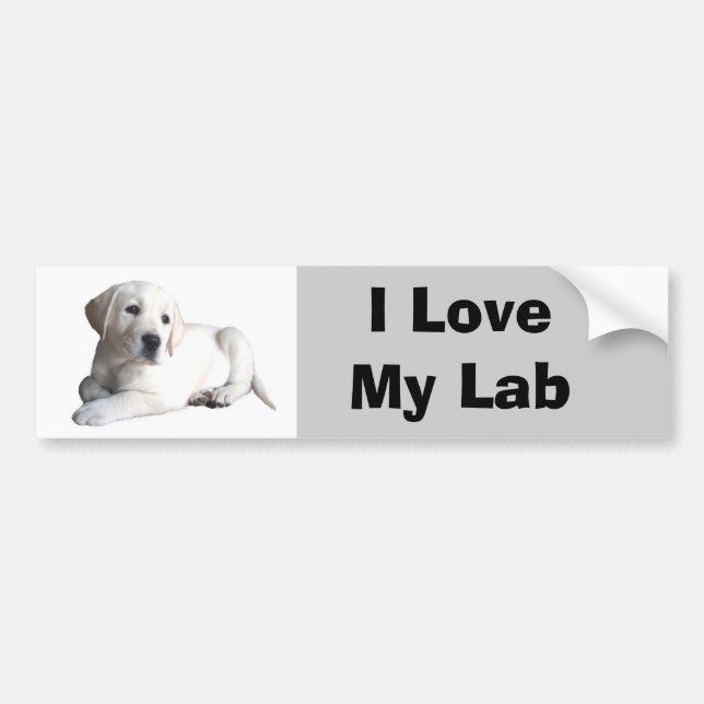 Labrador Retriever Love Bumper Sticker (Front)