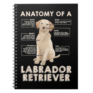 Labrador Retriever Lover Funny Anatomy of a Labrad Notebook
