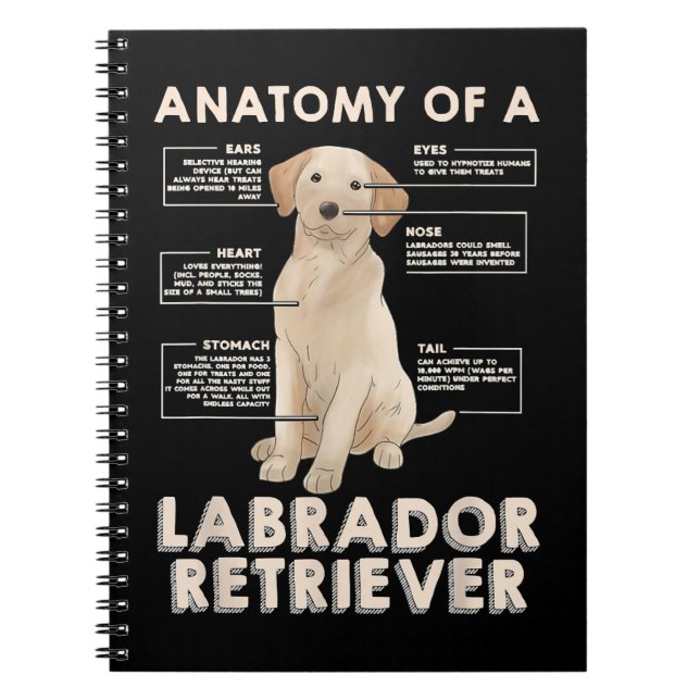 Labrador Retriever Lover Funny Anatomy of a Labrad Notebook (Front)
