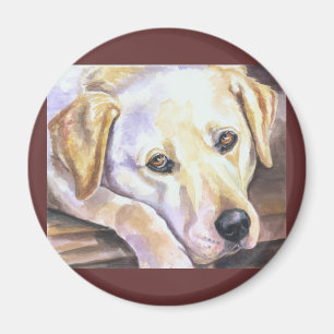 Labrador Retriever Magnets