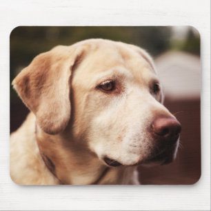 Labrador Retriever Mouse Pad