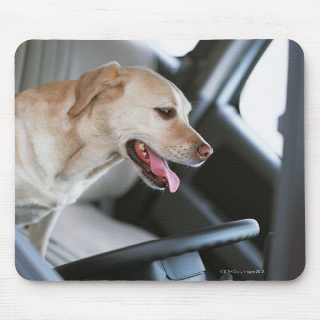 Labrador retriever mouse pad (Front)