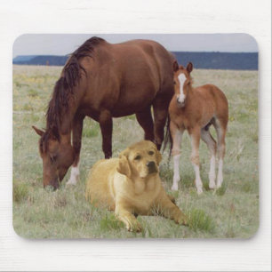 Labrador Retriever Mousepad Horses