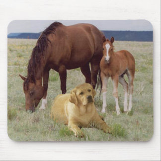 Labrador Retriever Mousepad Horses