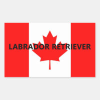 Labrador Retriever Name On Flag