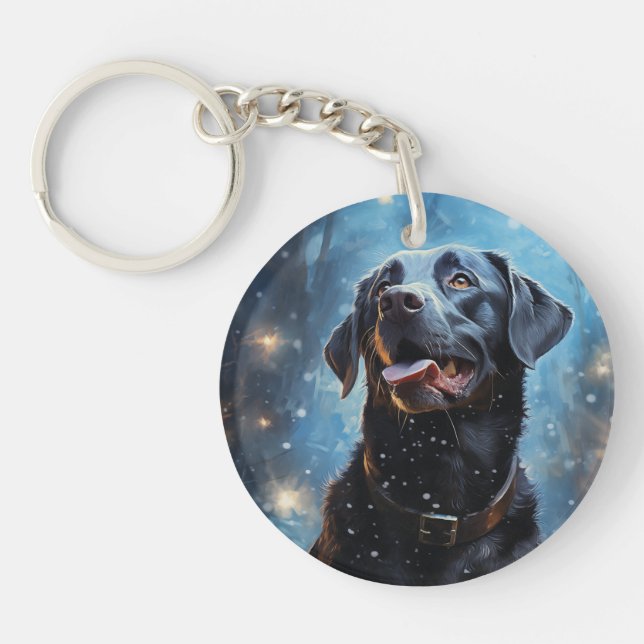 Labrador Retriever noir (Devant)