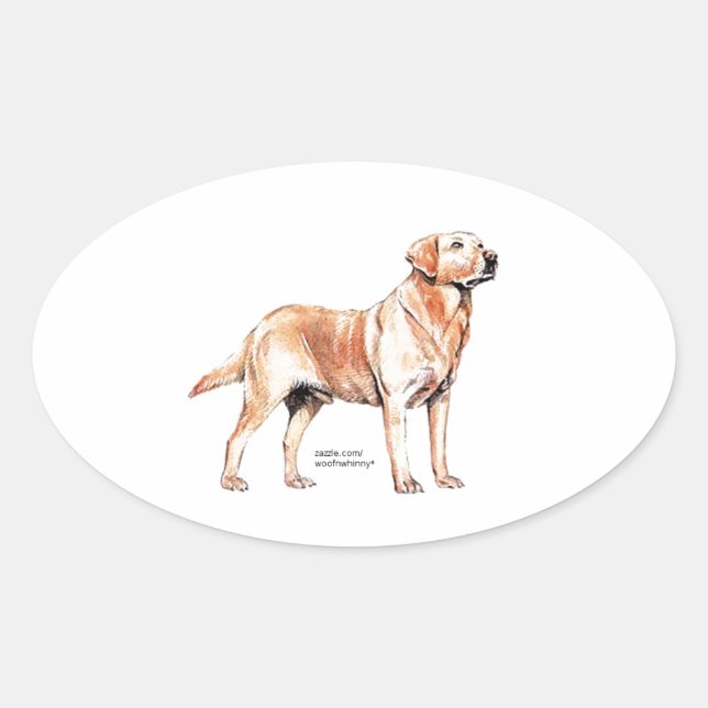 Labrador Retriever Oval Sticker (Front)