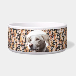 Labrador Retriever Personalize Photo & Name Dog