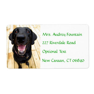 Labrador Retriever Personalized Name Address Label
