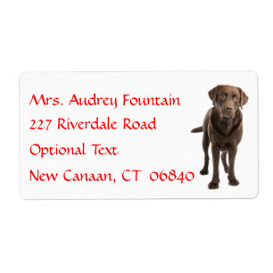 Labrador Retriever Personnalisé Name Étiquette d