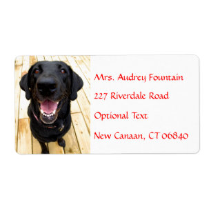 Labrador Retriever Personnalisé Nom Étiquette de a