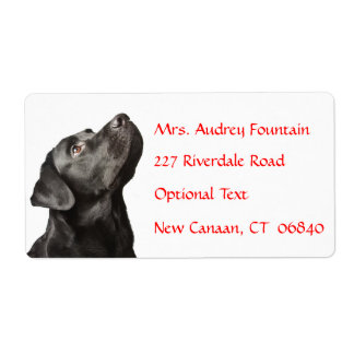 Labrador Retriever Personnalisé Nom Étiquette de a