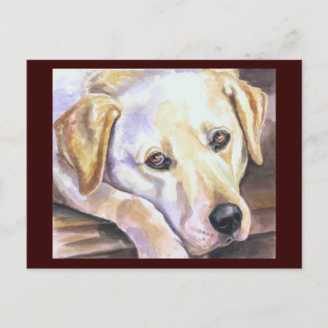 Labrador Retriever Postcard (Front)