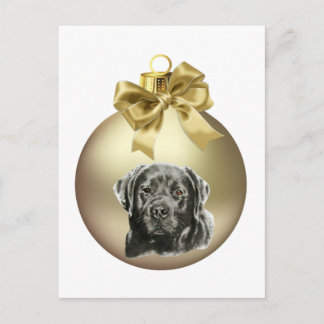 Labrador Retriever Postcard