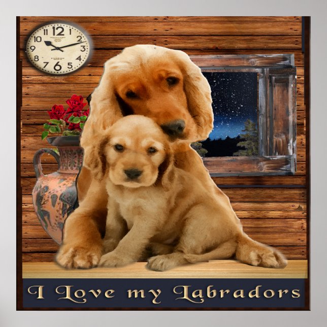 Labrador Retriever Poster (Front)