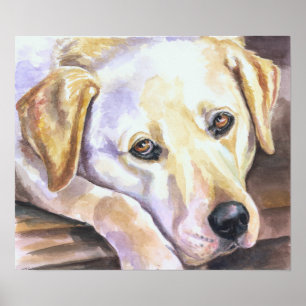 Labrador Retriever Print