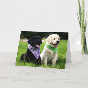 Labrador Retriever Puppies Blank Greeting Card