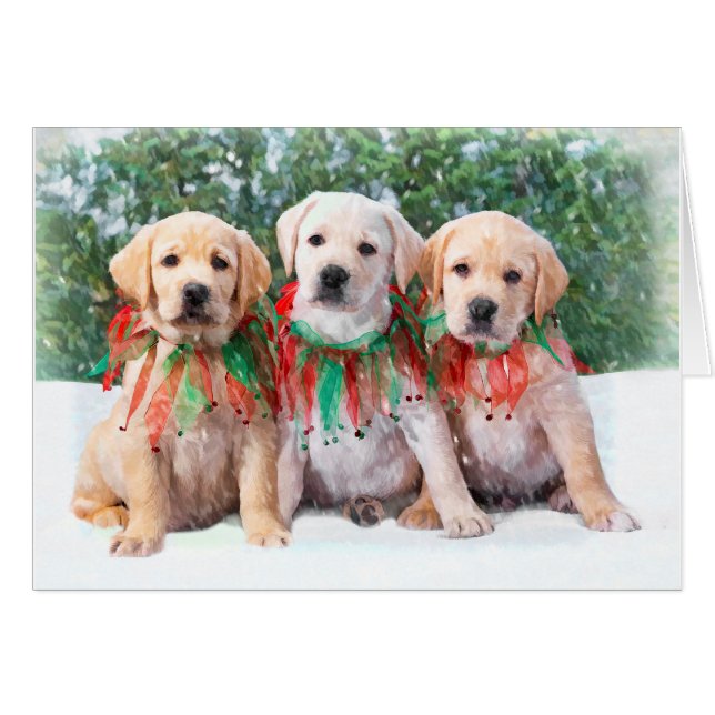 Labrador Retriever Puppy Cards (Front Horizontal)