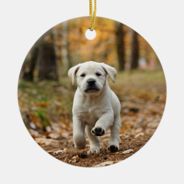 Labrador retriever puppy ceramic ornament (Front)