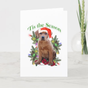 Labrador Retriever Puppy 'Tis the Season Holiday Card