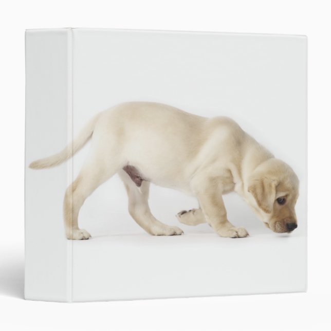 Labrador Retriever Puppy Walking Binder (Front/Spine)