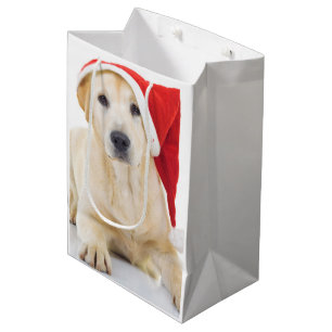 Labrador Retriever Santa Medium Gift Bag