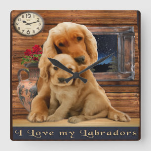 Labrador retriever square wall clock