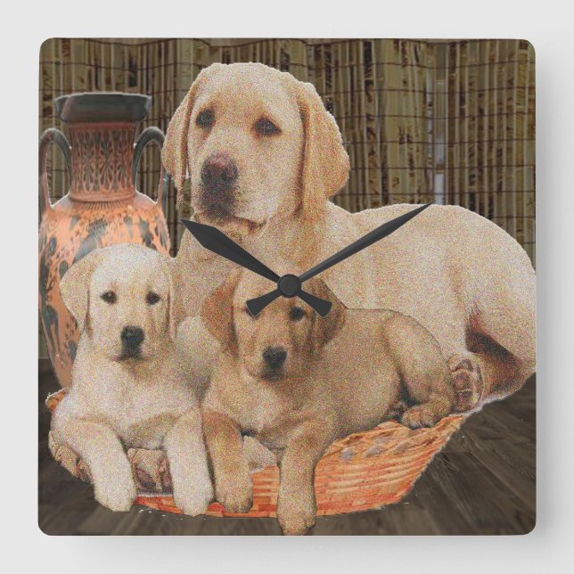 Labrador retriever square wall clock (Front)